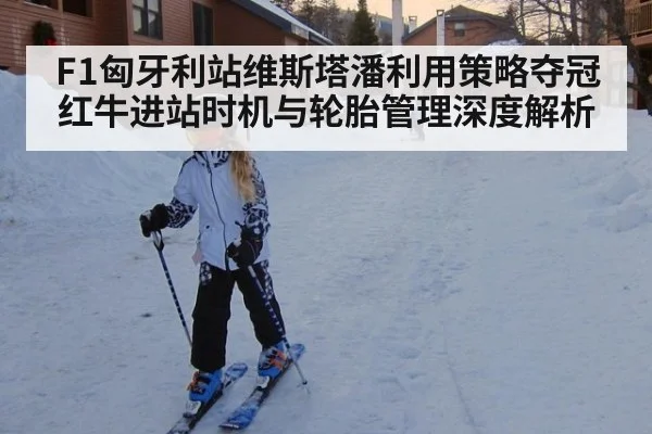 F1匈牙利站维斯塔潘利用策略夺冠红牛进站时机与轮胎管理深度解析