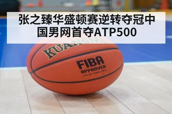 张之臻华盛顿赛逆转夺冠中国男网首夺ATP500
