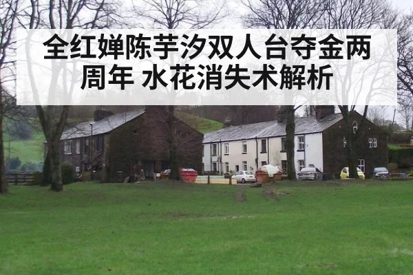 全红婵陈芋汐双人台夺金两周年 水花消失术解析